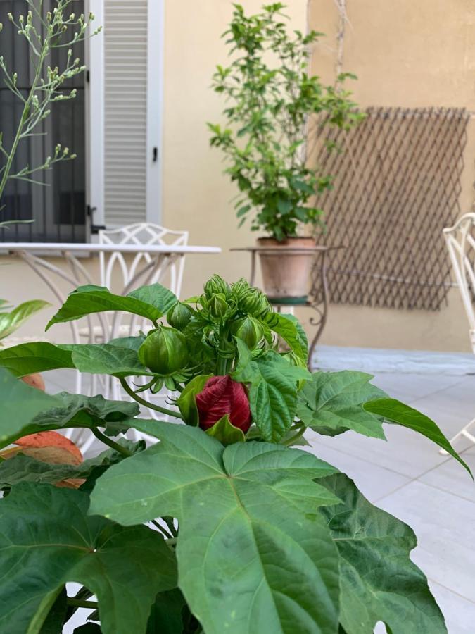 La Terrazza Vercelli Bed & Charme Exterior foto